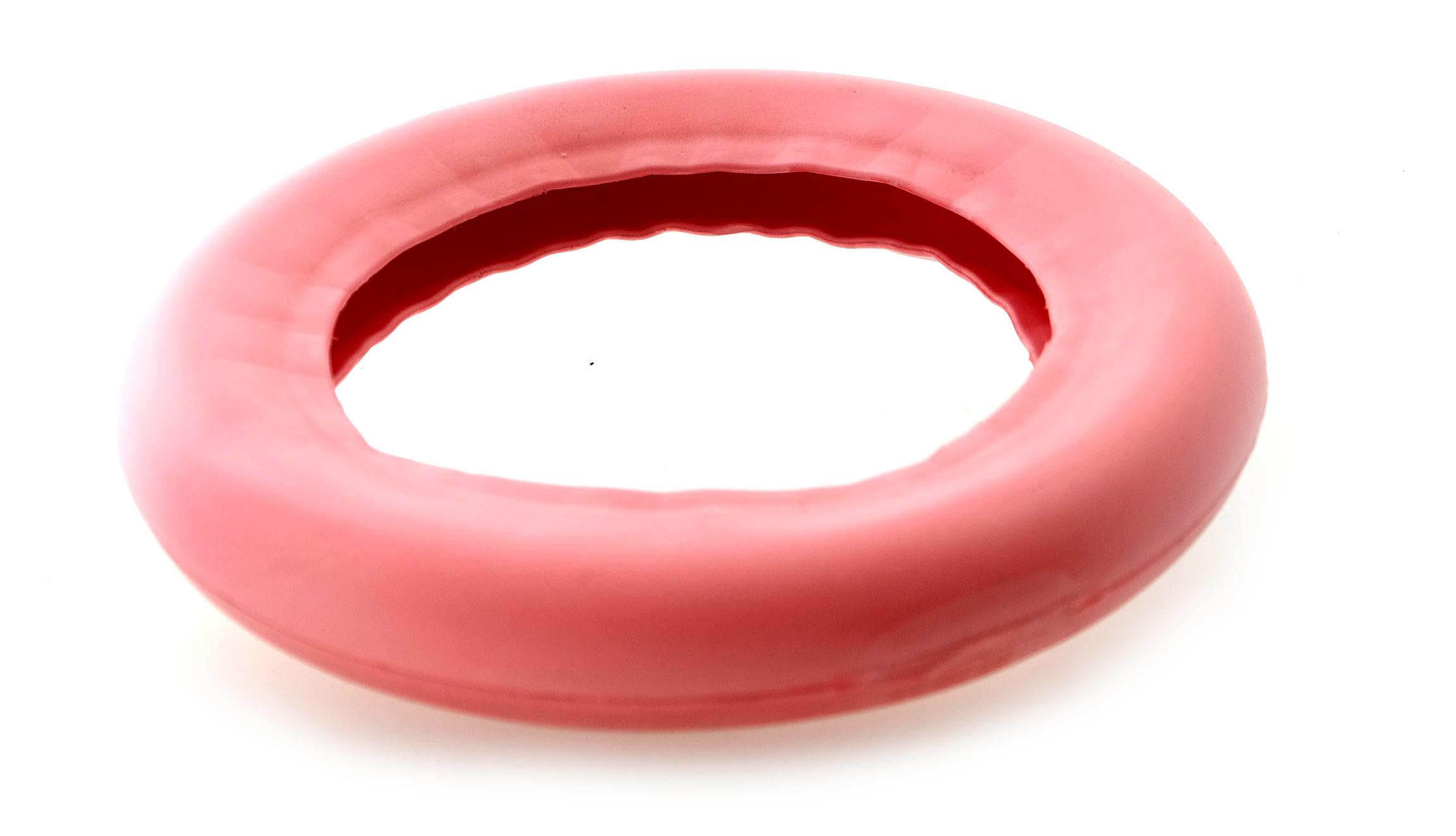 10" Pannenschutzeinlage für E-Scooter Schlauchreifen