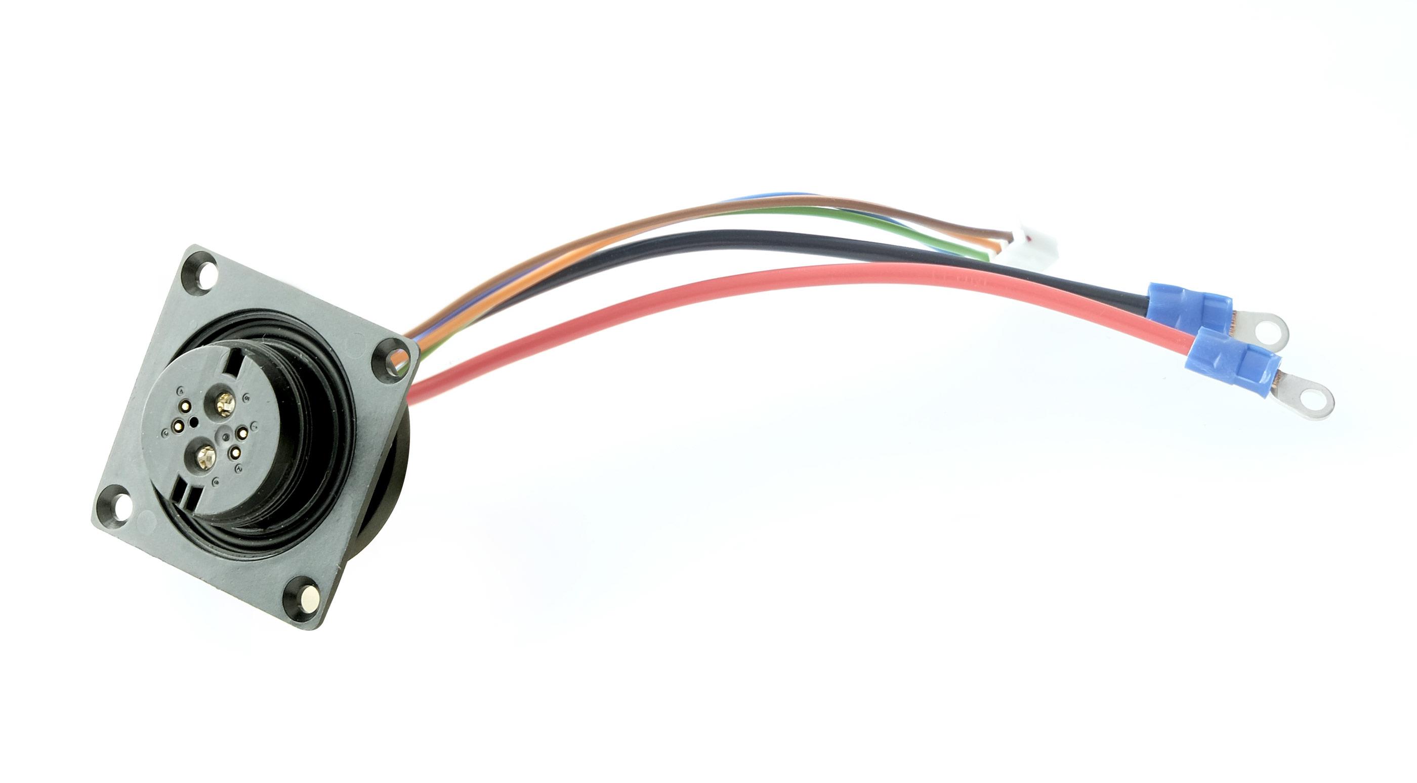 HEINZMANN® DirectPower Steuerungsstecker RoPD®